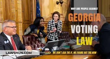 Georgia's Voting Law: Understanding the Opposition and Its Impact