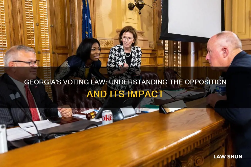 why are people against georgia voting law