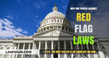 Red Flag Laws: Understanding the Opposition and Its Deep Concerns