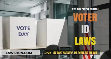 Why Voter ID Laws Spark Controversy and Opposition