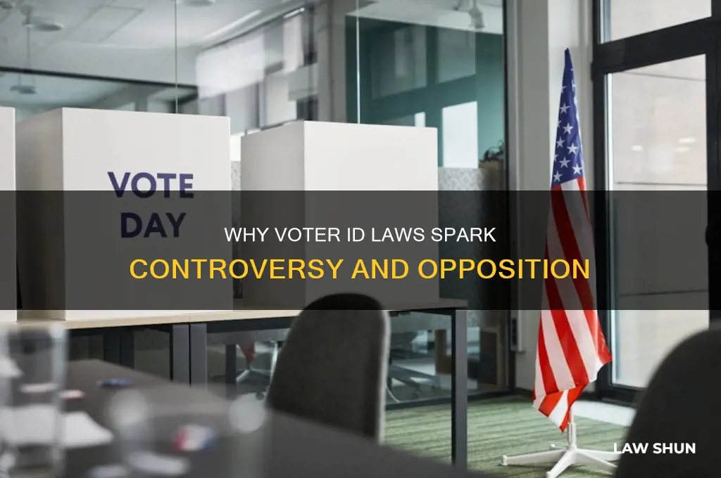 why are people against voter id laws