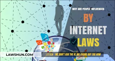 How Internet Laws Shape Behavior and Influence Online Decisions