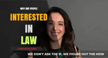 Exploring the Fascination: Why People Are Drawn to Law Careers