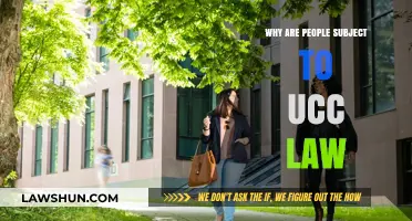 Understanding UCC Law: Why It Applies to Individuals and Businesses