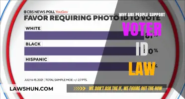 Why Voter ID Laws Gain Public Support: Exploring the Reasons