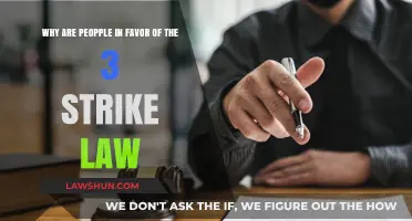Supporting Three Strikes Law: Reasons Behind Public Favor and Advocacy