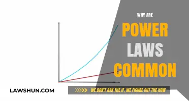 Power Laws: Ubiquitous Patterns in Nature and Beyond