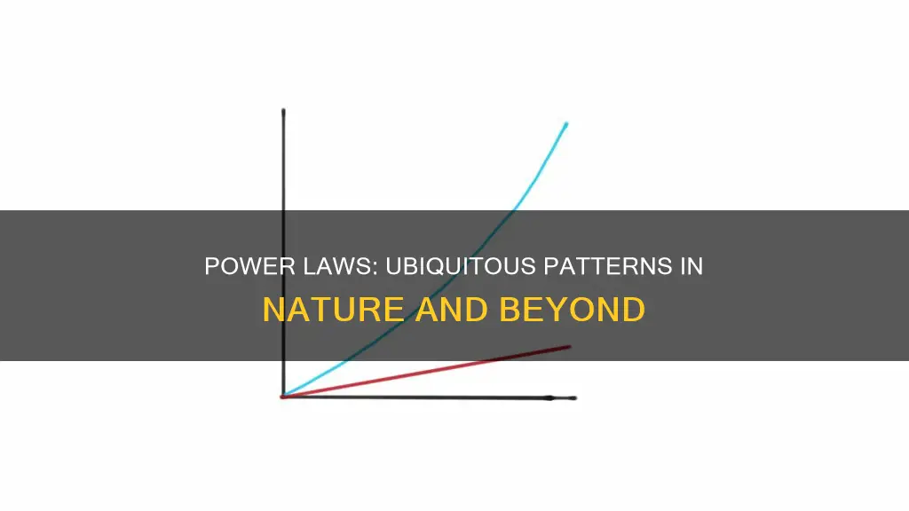 why are power laws common