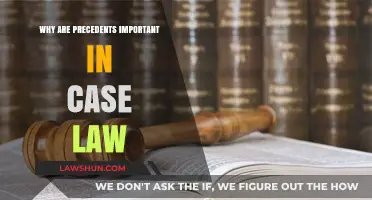 Precedents: The Foundation of Case Law