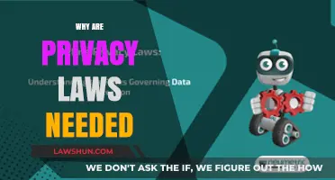 Protecting Personal Data: The Crucial Role of Privacy Laws Today