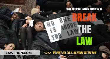 The Paradox of Protest: When Breaking Laws is Justified