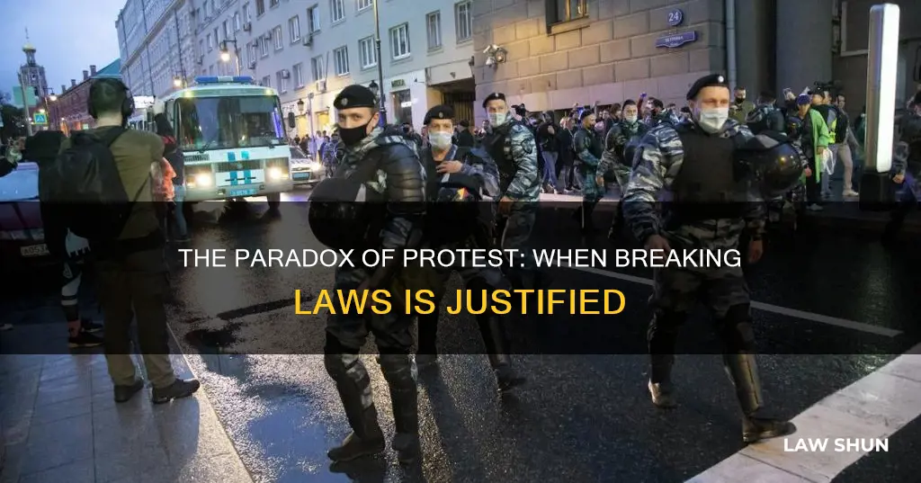 why are protesters allowed to break the law