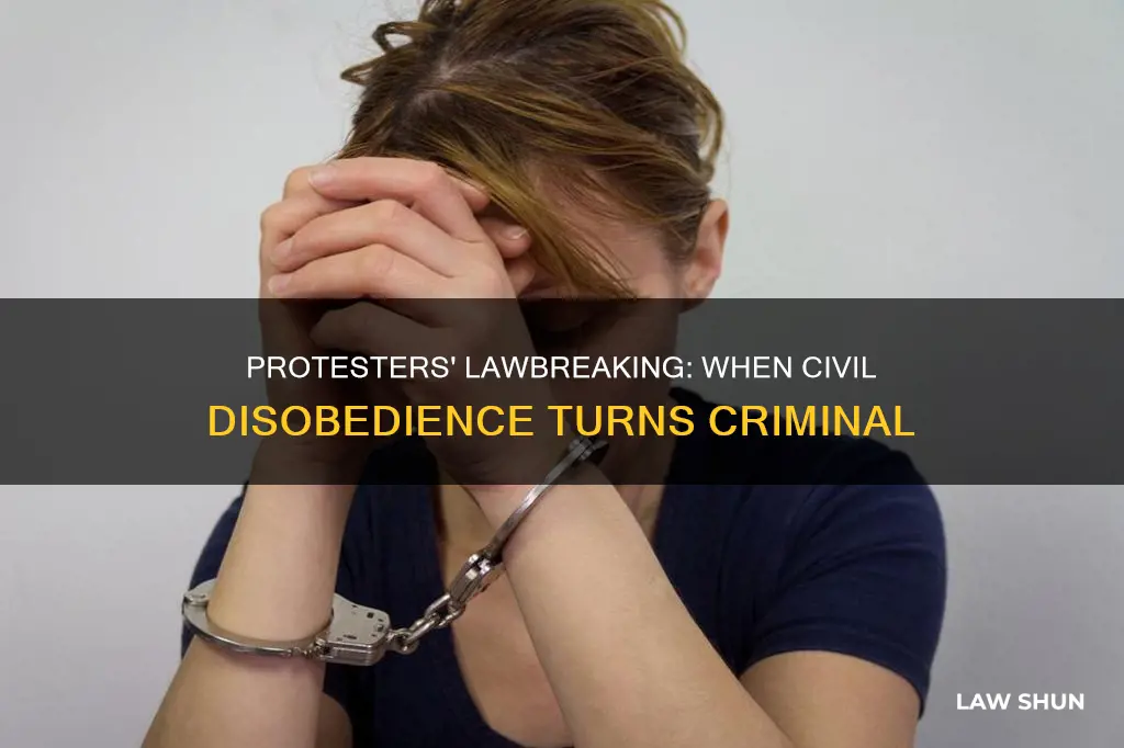 why are protesters allowed to break the law