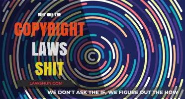 Copyright Laws: Flawed, Outdated, and Failing Creators Everywhere