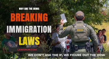 Unraveling the Complexities: Why Dems' Immigration Law Breaks Stir Debate