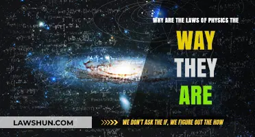 Unraveling the Mysteries: Why Do Physics Laws Govern Our Universe?