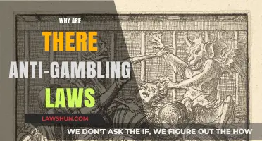 Understanding the Rationale Behind Anti-Gambling Laws and Their Impact