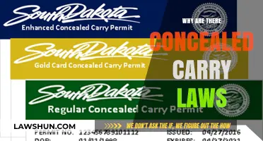 Concealed Carry Laws: Understanding Their Purpose and Impact on Society
