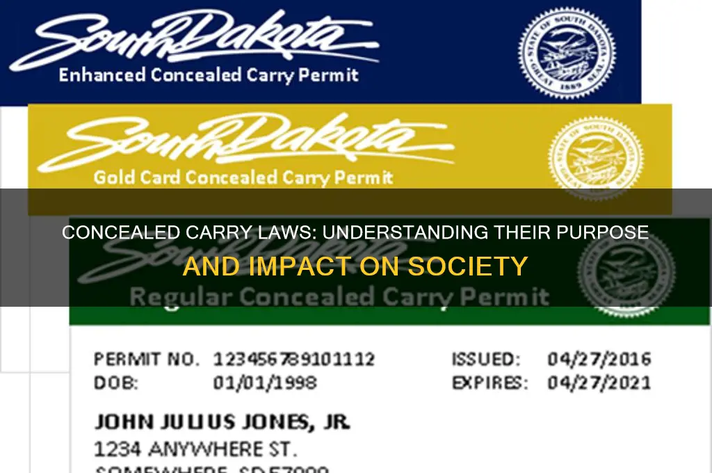 why are there concealed carry laws