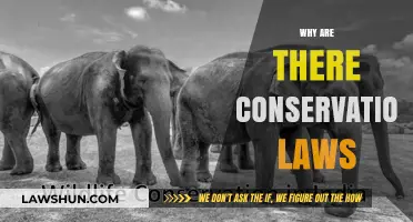 Understanding Conservation Laws: Why They Exist and Their Importance