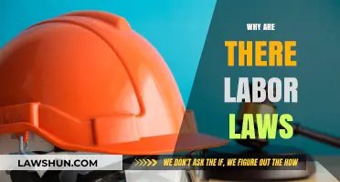 Understanding Labor Laws: Protecting Workers' Rights and Ensuring Fair Employment Practices