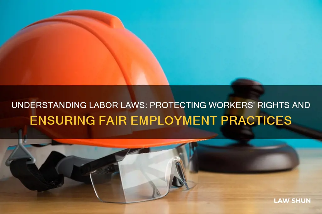 why are there labor laws