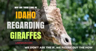 Idaho's Giraffe Laws: Unraveling the Surprising Legal Protections