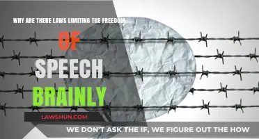 Understanding Legal Limits on Freedom of Speech: A Brainly Analysis