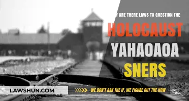Questioning the Holocaust: Legal Limits and Historical Responsibility