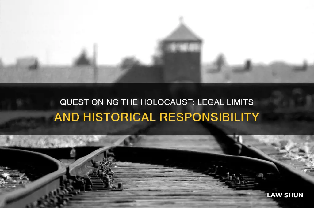 why are there laws to question the holocaust yahaoaoa sners
