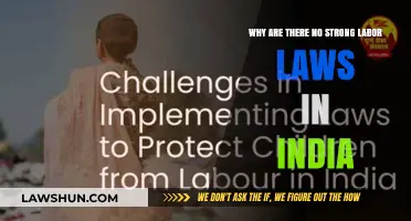India's Labor Laws: Weak Protections and Their Impact on Workers