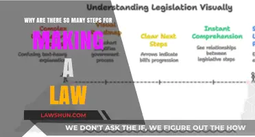 The Complex Journey of Lawmaking: Unraveling the Numerous Steps