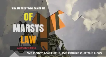 Why Are They Trying to Repeal Marsy's Law? A Critical Analysis