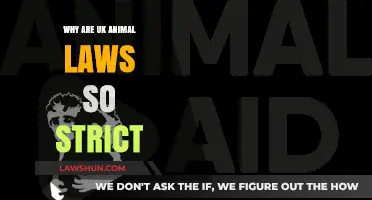 UK Animal Laws: Strict and Stringent. Why?