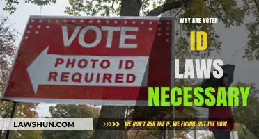 Securing Democracy: The Essential Role of Voter ID Laws Explained