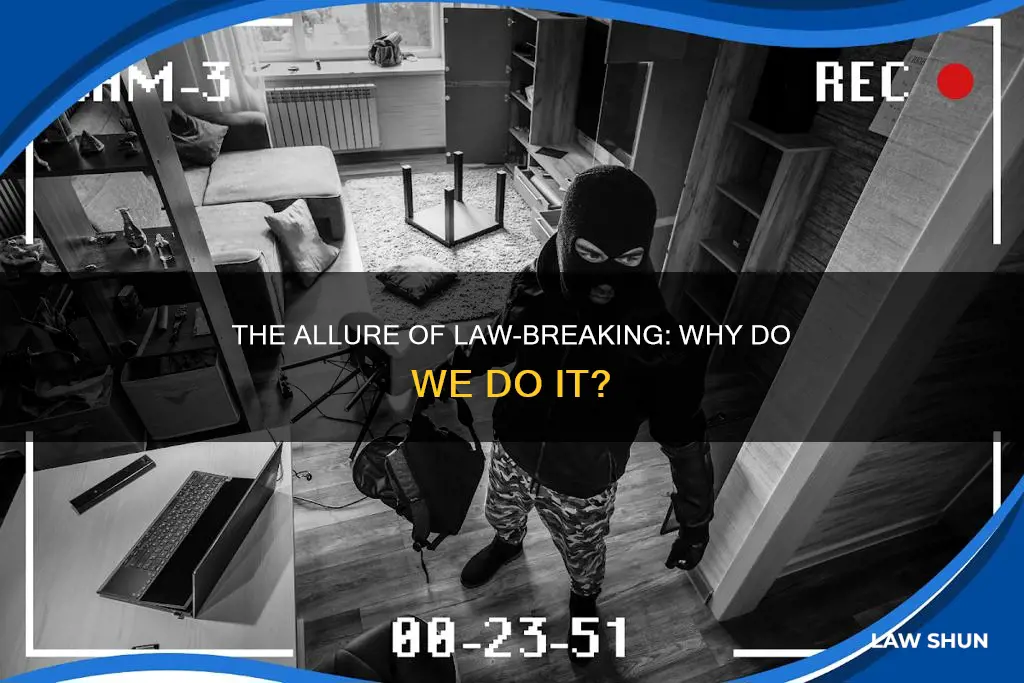 why are we compelled to break the law