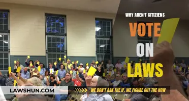 Why Citizens Don't Directly Vote on Laws: Democracy's Missing Link