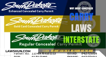 Concealed Carry Confusion: Why State Lines Limit Your Right to Bear Arms