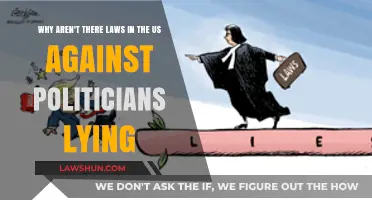 Why US Politicians Can Lie Without Legal Consequences: Explained