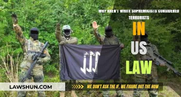 White Supremacists and US Law: Why Not Labeled Terrorists?