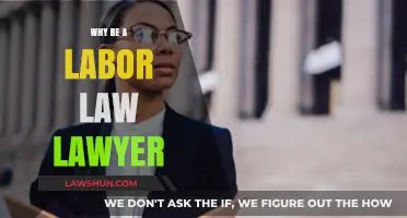 Advocating for Workers: The Rewarding Path of Labor Law Practice