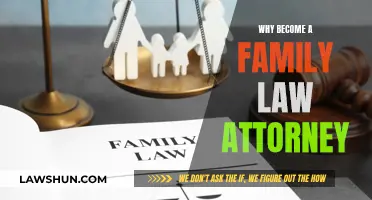 Family Law: A Career of Helping Families