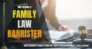 A Rewarding Career: Family Law Barrister