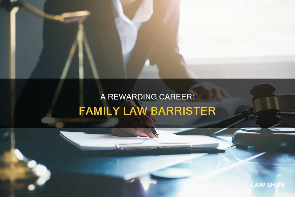 why become a family law barrister