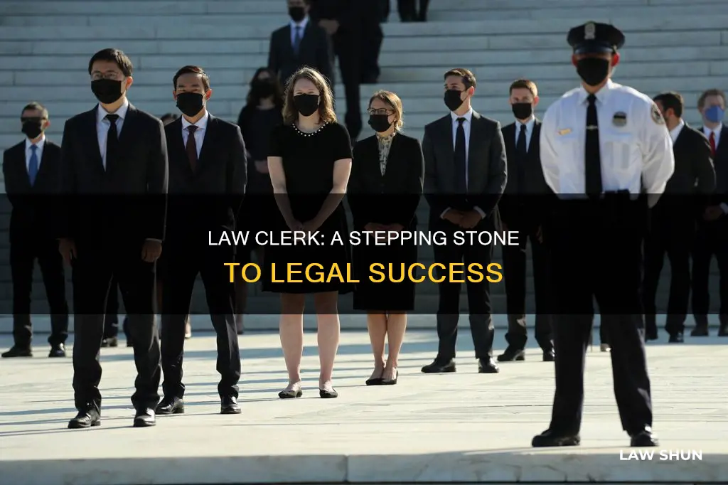 why become a law clerk