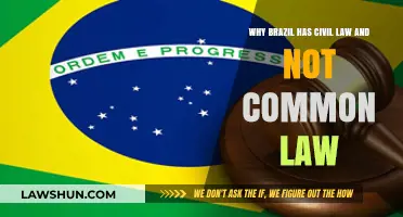 Civil Law in Brazil: A Unique Legal Legacy