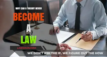 Theoretical Limits: Laws vs Theories