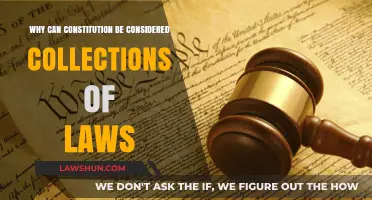 Constitutional Laws: The Foundation of Our Legal System