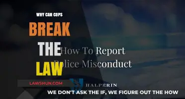 Police and the Law: Who Watches the Watchmen?