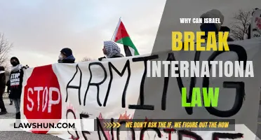 Israel's Impunity: Breaking International Law